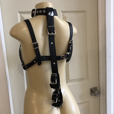 Rhi Rhi  Bra Harness with Collar and Box tie bondage